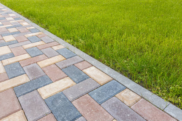 Best Driveway Pavers Contractor  in Cody, WY
